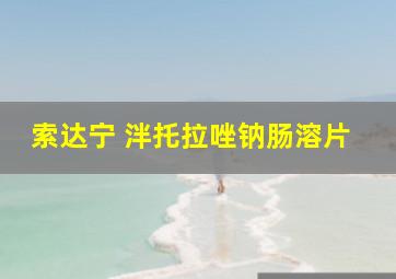 索达宁 泮托拉唑钠肠溶片